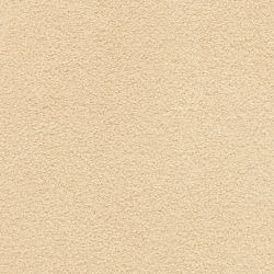 Dixie Home Carpet Grand Isle G5322 29701