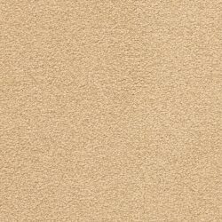 Dixie Home Carpet Grand Isle G5322 29704