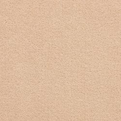 Dixie Home Carpet Grand Isle G5322 29724