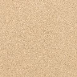 Dixie Home Carpet Grand Isle G5322 49738