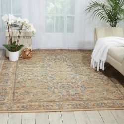 Nourison Timeless TML15 Beige Area Rug