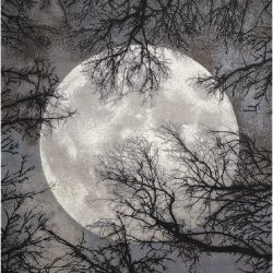 Alternative view of Nourison Twilight TWI17 Moon Area Rug