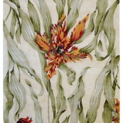 Alternative view of Nourison Tropics TS01 Ivory Area Rug