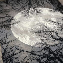 Nourison Twilight TWI17 Moon Area Rug