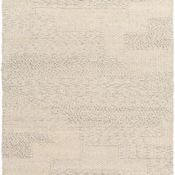 Surya Aravalli ARV-1003 Gray Area Rug