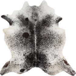 Surya Easton EAS-4000 Black Area Rug