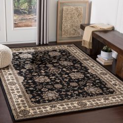 Surya Paramount PAR-1070 Black Area Rug