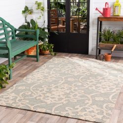 Surya Rain RAI-1103 Light Beige Area Rug