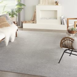 Nourison Essentials