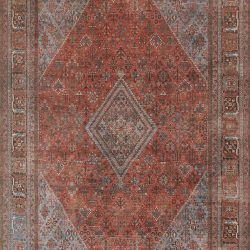 Momeni Afshar AFS38 Copper Area Rug