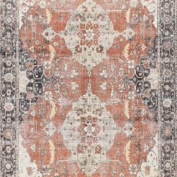 Momeni Chandler CHN-7 Rust Area Rug