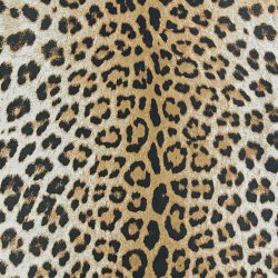 Couristan DOLCE AMUR LEOPARD NEW GOLD Area Rug