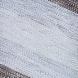 Couristan PRAIRIE WINDSWEPT BARK-GREY Area Rug