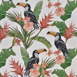 Couristan DOLCE TOUCANS IVORY Area Rug