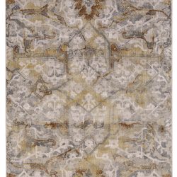 Feizy Cannes Distressed 3685F Grey Area Rug