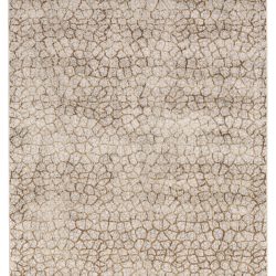 Feizy Cannes Ornamental 3694F Grey Area Rug