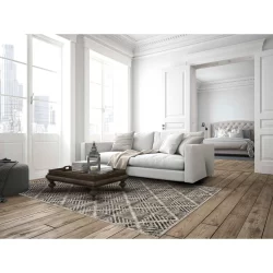Feizy Katari Distressed 3380F Grey Area Rug