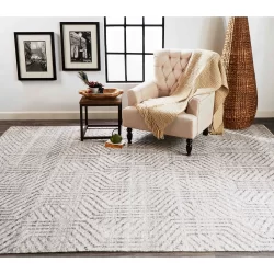 Feizy Vivien Graphic 6556F Grey Area Rug