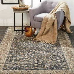 Feizy Greyson Distressed 3915F Grey Area Rug
