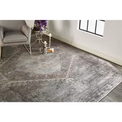 Feizy Sarrant Medallion 3963F Grey Area Rug