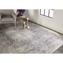 Feizy Sarrant Abstract 3964F Grey Area Rug