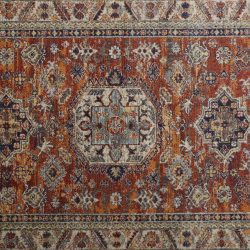 Feizy Bellini Medallion I3136 Orange Area Rug