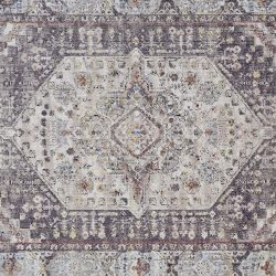 Feizy Armant Distressed 3907F Grey Area Rug