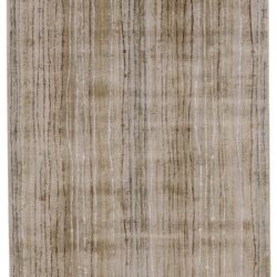 Feizy Cannes Distressed 3687F Grey Area Rug