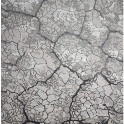 Alternative view of Nourison Divine DIV01 Charcoal Area Rug