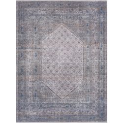 Surya Colin CLN-2314 Dark Brown Area Rug
