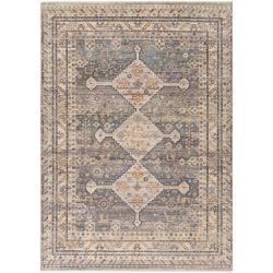 Surya Aida AAD-2305 Beige Area Rug