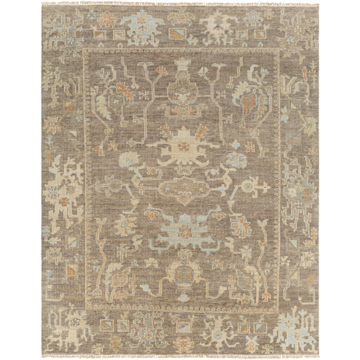 Surya Antalya AAT-2303 Brown Area Rug