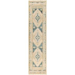 Surya Anadolu AAU-2301 Brown Area Rug