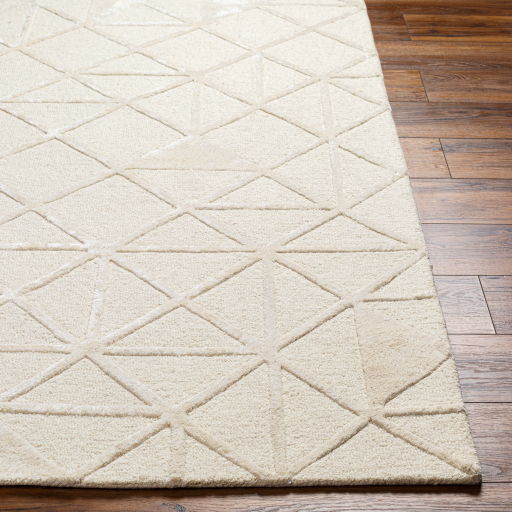 Surya Addison ADD-2303 Beige Area Rug - Image 2
