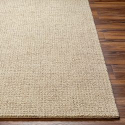Surya Aiden AEN-1000 Ivory Area Rug