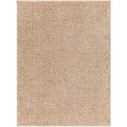 Surya Alfombra AFB-2300 Tan Area Rug