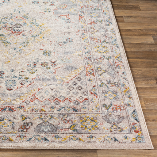 Surya Ankara AKR-2301 Brick Red Area Rug - Image 3