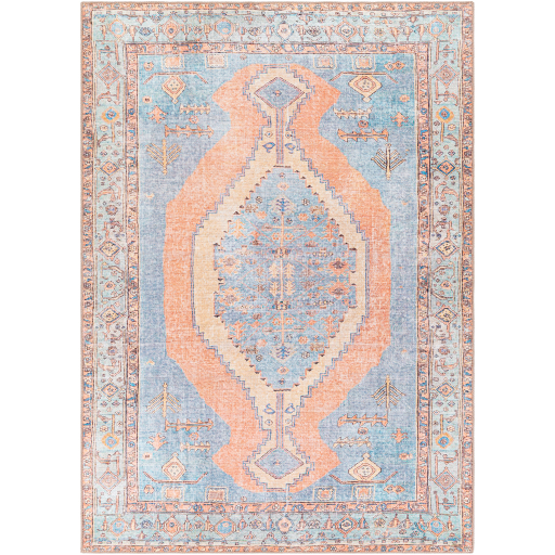 Surya Amelie AML-2325 Aqua Area Rug