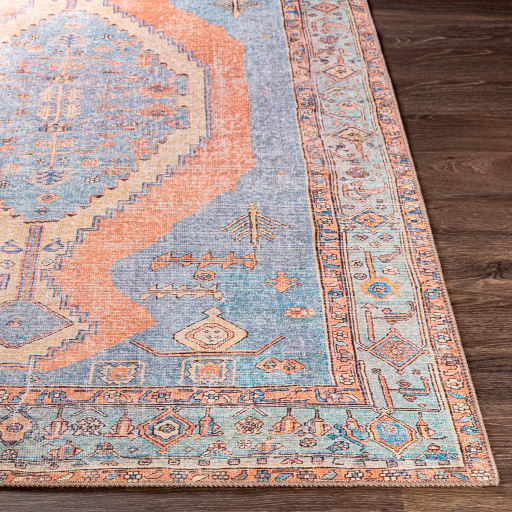 Surya Amelie AML-2325 Aqua Area Rug - Image 3