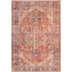 Surya Amelie AML-2334 Burnt Orange Area Rug