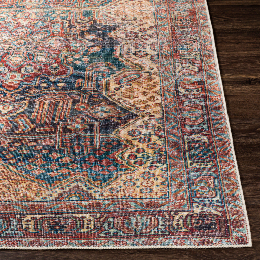 Surya Amelie AML-2337 Burnt Orange Area Rug - Image 3