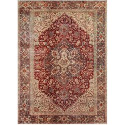 Surya Amelie AML-2344 Brown Area Rug