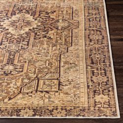 Alternative view of Surya Amelie AML-2348 Brown Area Rug