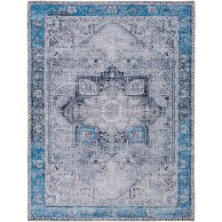 Surya Amelie AML-2359 Blue Area Rug