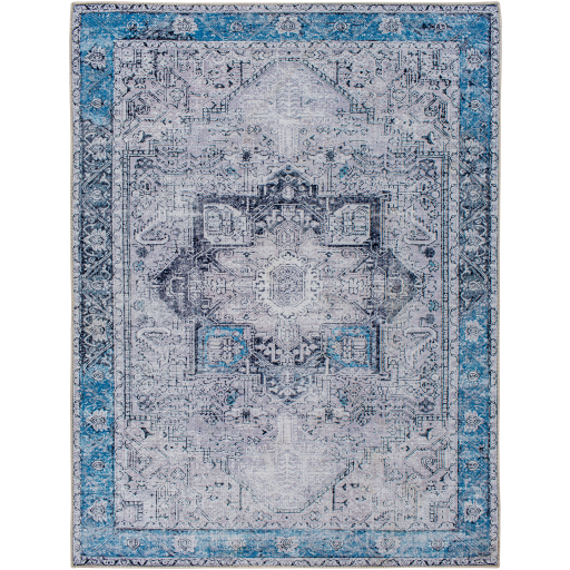 Surya Amelie AML-2359 Blue Area Rug