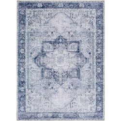 Surya Amelie AML-2361 Denim Area Rug
