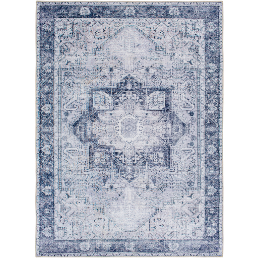 Surya Amelie AML-2361 Denim Area Rug