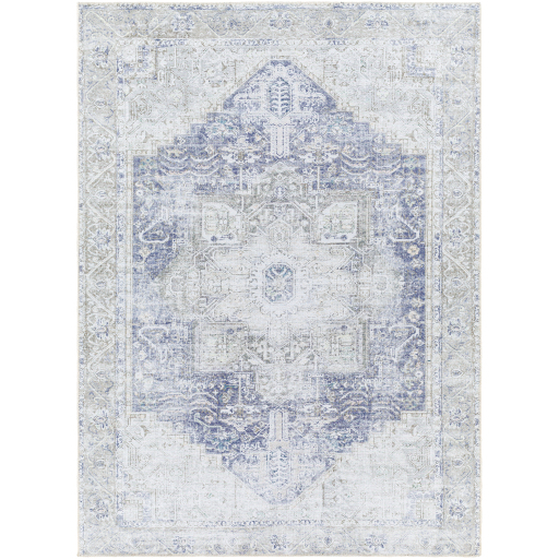 Surya Amelie AML-2363 Ice Blue Area Rug