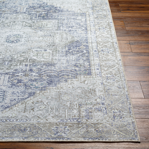 Surya Amelie AML-2363 Ice Blue Area Rug - Image 3