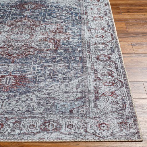 Surya Amelie AML-2366 Brick Red Area Rug - Image 3